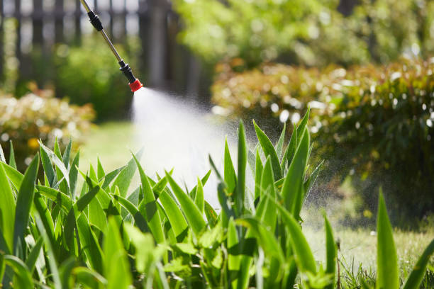 24/7 Emergency Mosquito Control experts in Pleasanton, TX