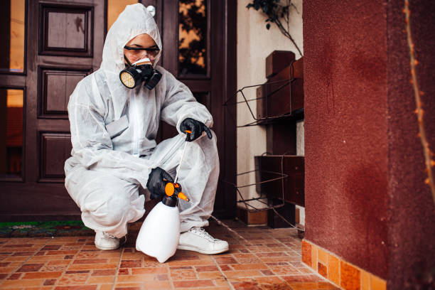 Reliable Mosquito Control contractor in Pleasanton, TX by Show Me Pest Control